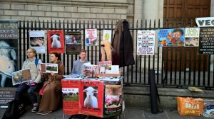 WP_20151031_14_18_42_Pro