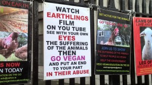 WP_20151107_14_41_28_Pro