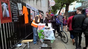 WP_20151003_16_53_09_Pro