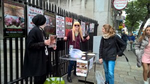 WP_20151010_17_07_21_Pro