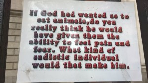 WP_20151010_17_08_27_Pro