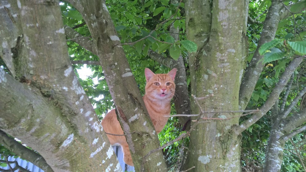 WP_20150917_12_02_37_Pro