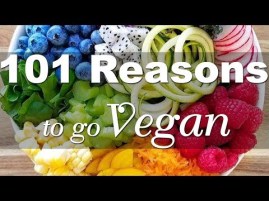 101 REASONS TO GO VEGAN